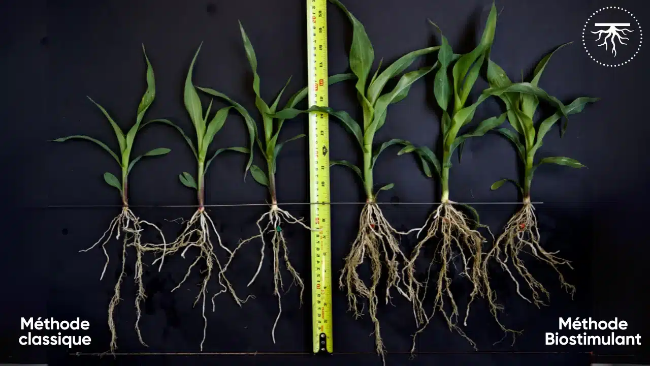 Quelles sont les nouvelles technologies à surveiller dans le monde agricole en termes de biostimulants ?