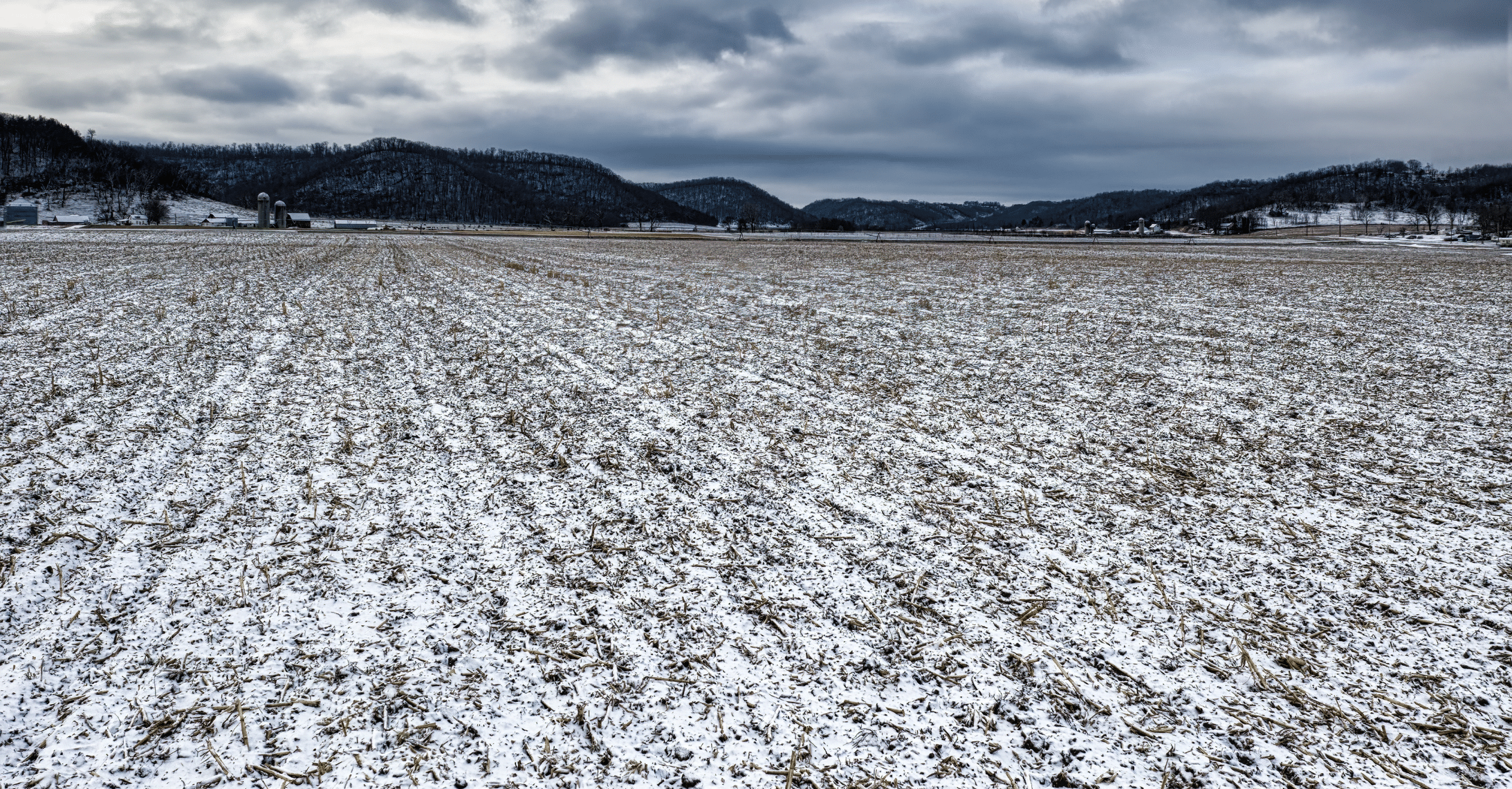 Disponibilité des nutriments en fin d’hiver et rôle des interactions sol–racines